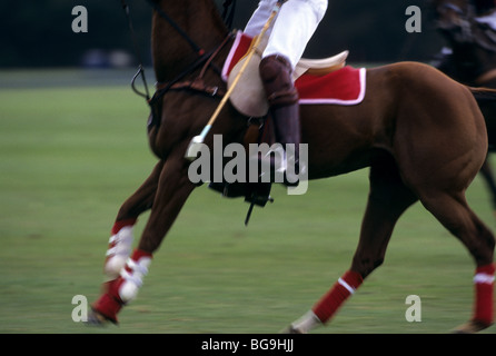 Polo-Spieler auf seinem Pferd Stockfoto