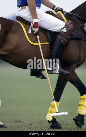 Polo-Spieler auf seinem Pferd Stockfoto