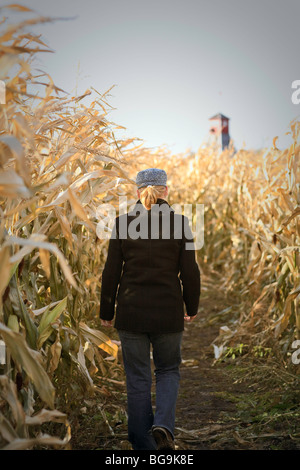 Frau zu Fuß durch ein Maisfeld.  Stonewall, Manitoba, Kanada. Stockfoto