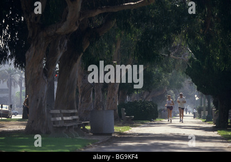 Zwei Menschen Joggen entlang einem Baum gesäumten Pfad Stockfoto