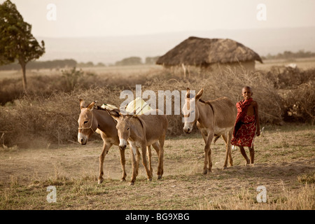 Ein Massai-junge bringt nach Hause Wasser aus einem Brunnen, Kilimanjaro-Region, Tansania, Ostafrika. Stockfoto