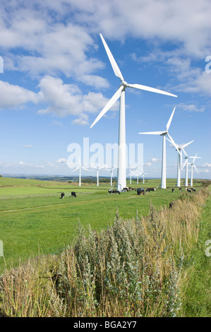 Power Generation Wind farm 35m Höhe an der Nabe und haben einen Rotordurchmesser von 37m Stockfoto