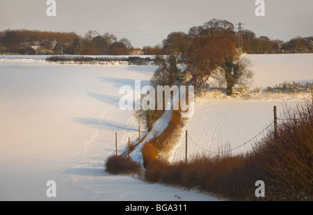 Ländliche Schnee Landschaft, Bedfordshire, von Bäumen gesäumten Feldweg, warmen Sommer Sonne geringer Schattenwurf auf Schnee. Stockfoto