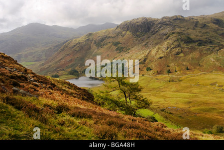 Blick auf Blea Tarn aus Seite Hecht, Lake District, Cumbria, UK Stockfoto