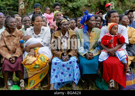 Der Kikuyu, Caratina, Kenia Stockfoto