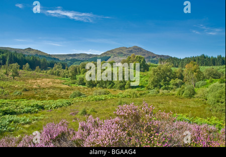 Ben Ort aus der Herzöge Pass Nr. Aberfoyle Trossachs Stirling District Loch Lomond & Schottland Trossachs National Park Stockfoto