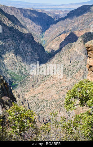 Der Gunnison River fließt durch den Black Canyon des Gunnison National Park Colorado. Stockfoto