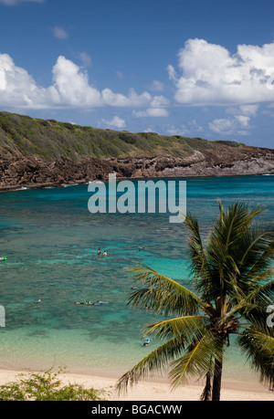 Oahu State Park - Hanauma bay Stockfoto