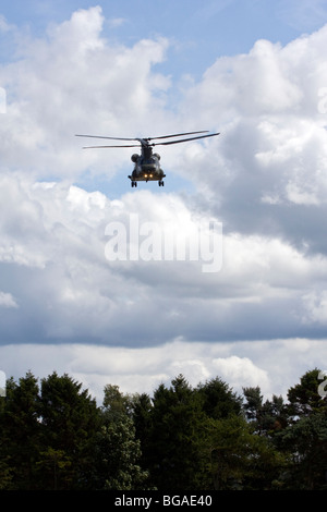 RAF Chinook Unterstützung Hubschrauber HC2 2A schwebt über Bäume Stockfoto