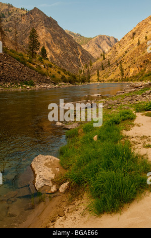 Malerische Idaho, Middle Fork Lachsfluss, Frank Church Wildnis. Stockfoto