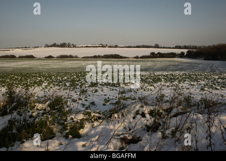 Schnee fällt in den South Downs National Park. Stockfoto