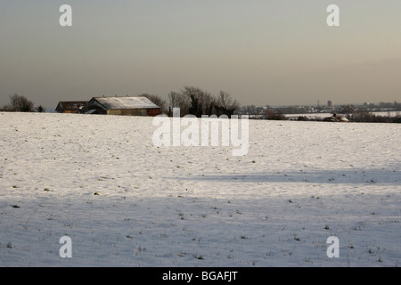 Schnee fällt in den South Downs National Park. Stockfoto
