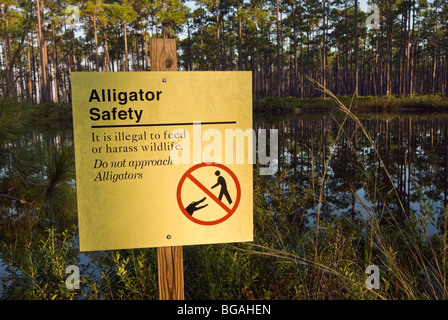 Alligator Warnschild im Okefenokee National Wildlife Refuge, Georgia, USA Stockfoto