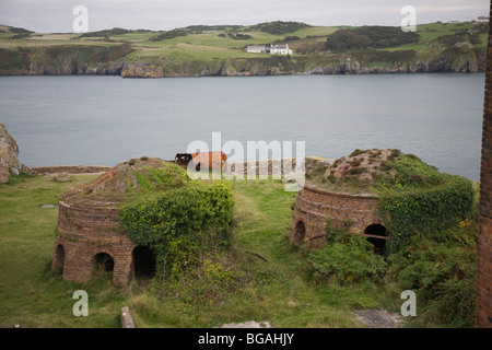 Porth Wen, Alte Ziegelei Stockfoto