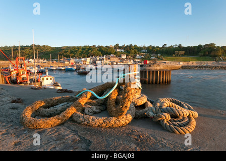 Lyme Regis Dorset England Hafen frühen Sommermorgen mit Seil im Vordergrund Stockfoto