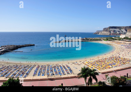 Strand Blick auf das Resort, Playa Amadores, Gemeinde Mogan, Gran Canaria, Kanarische Inseln, Spanien Stockfoto