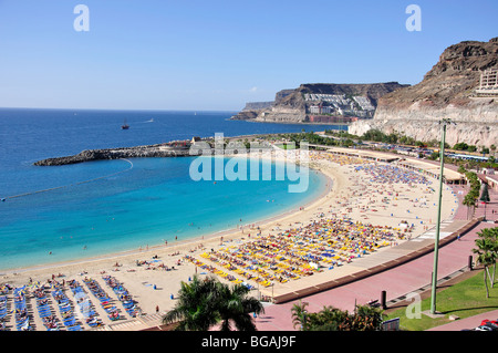 Strand Blick auf das Resort, Playa Amadores, Gemeinde Mogan, Gran Canaria, Kanarische Inseln, Spanien Stockfoto