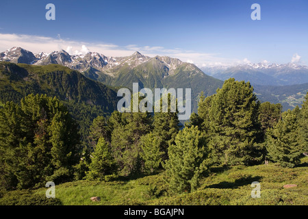 APLS in der Nähe von Jerzens. Tirol. Österreich. Stockfoto