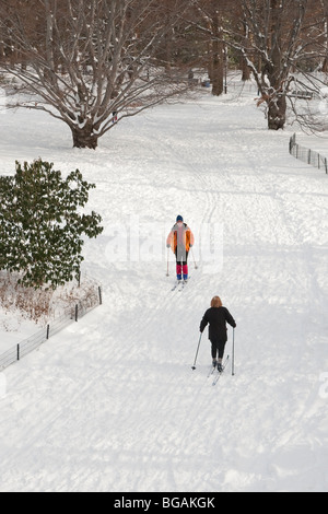Langlauf-im Central Park, New York nach einem Schneefall Stockfoto