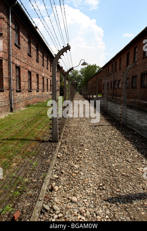 Lager-Gebäude und Sicherheitszaun in Auschwitz I KZ, Auschwitz, Polen Stockfoto