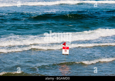 Kein Schwimmen Warnschild, Gold Coast, Queensland, Australien Stockfoto