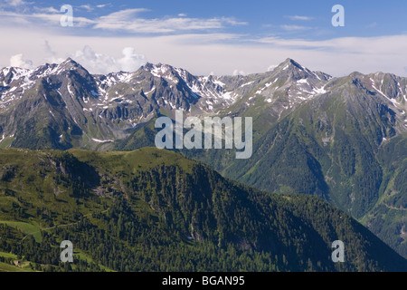 APLS in der Nähe von Jerzens. Tirol. Österreich. Stockfoto