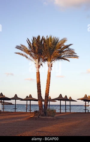 Marsa Alam, Coraya Bay Stockfoto