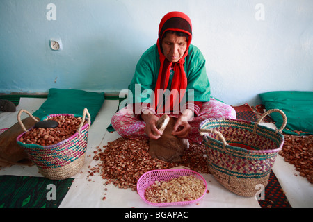 Frauen-kooperative zum Knacken Argan Samen zur Herstellung von Argan-Öl Stockfoto