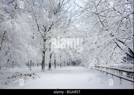 Thornton Park - starker Schneefall im Wald von Essex. Stockfoto