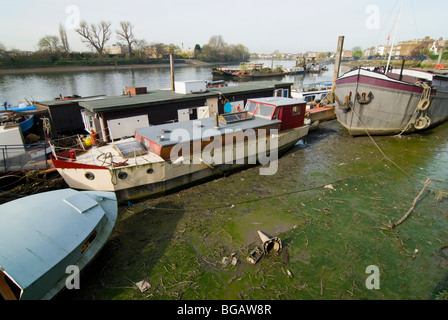 Hausboote auf der Themse bei Ebbe Stockfoto