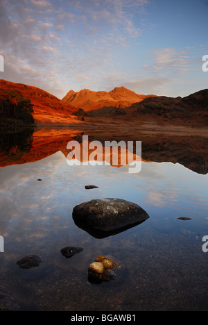 Langdale Pikes spiegelt sich in Blea Tarn in der Morgendämmerung im englischen Lake District Stockfoto