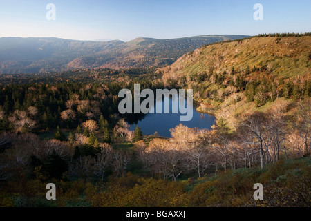 Japan, Insel Honshu, Towada Hachimantai National Park, Hachimanuma Teich Stockfoto