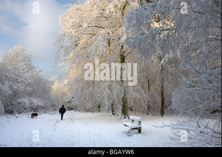 Heftige Schneefälle im Thorndon Country Park. Stockfoto