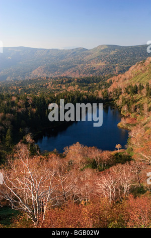 Japan, Insel Honshu, Towada Hachimantai National Park, Hachimanuma Teich Stockfoto