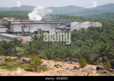 Die Sindora Palmöl-Mühle von Sindora Palmöl-Plantagen umgeben. DDie Mühle und Plantage sind grün zertifiziert. Stockfoto