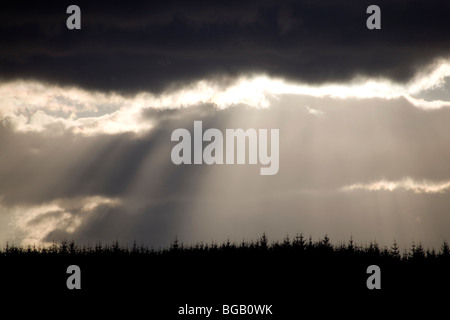 STURM, SONNENLICHT, STRAHLEN: Sonnenstrahlen, die durch Sturmwolken über dichten Wäldern auf einem Berggipfel in Wales, Großbritannien, brechen Stockfoto