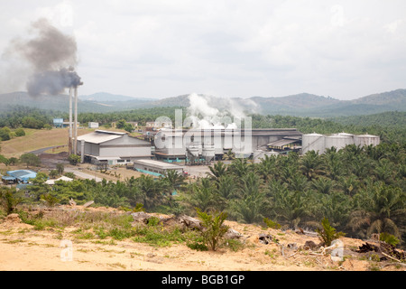 Die Sindora Palmöl-Mühle von Sindora Palmöl-Plantagen umgeben. DDie Mühle und Plantage sind grün zertifiziert. Stockfoto