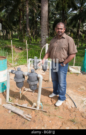 Ein Plantagenarbeiter durch Regelventile für die Pflanze Kindergärten Bewässerungs-System stehen. Johor Bahru, Malaysia Stockfoto