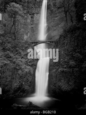 OREGON - Multnomah Falls in der Columbia River Gorge National Scenic Area. Stockfoto