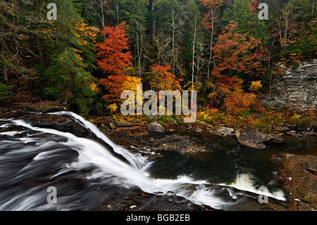 Herbst-Farbe und Cane Creek Wasserfall im Herbst Creek Falls State Park in Tennessee Stockfoto