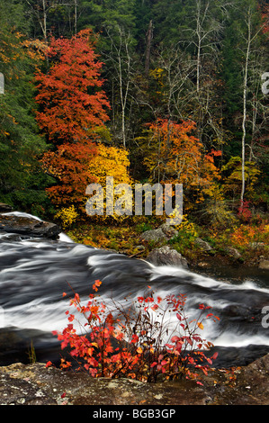 Herbst-Farbe und Cane Creek Wasserfall im Herbst Creek Falls State Park in Tennessee Stockfoto