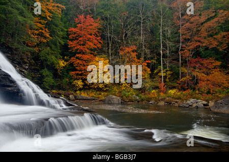 Herbst-Farbe und Cane Creek Wasserfall im Herbst Creek Falls State Park in Tennessee Stockfoto