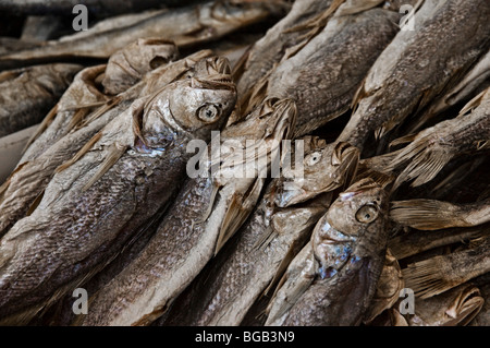 Fisch Stall Chinatown Vancouver Kanada Stockfoto