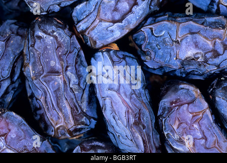 Termine "Medjool" Closeup, California Stockfoto