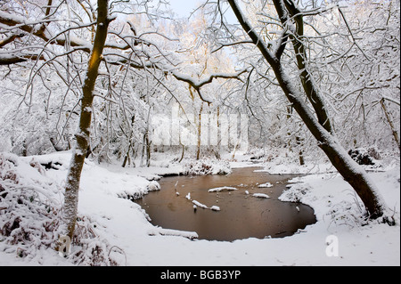 Starker Schneefall in Thorndon Park in der Grafschaft Essex. Stockfoto