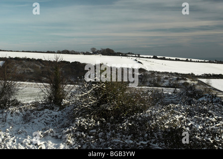 Schnee fällt in den South Downs National Park. Stockfoto