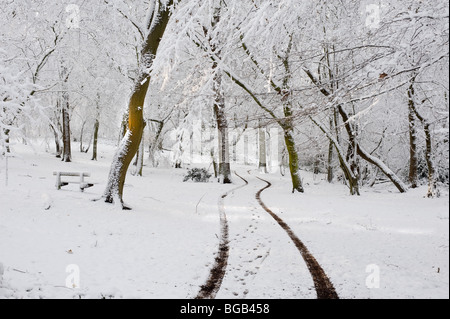 Heftige Schneefälle in Essex Wald. Stockfoto