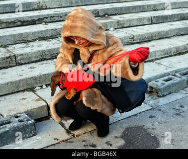 Paris, Frankreich, Frau im Pelzmantel mit kleinem Hund in Jacke, urbane Haustiere, Tiere urbanes europa Stockfoto