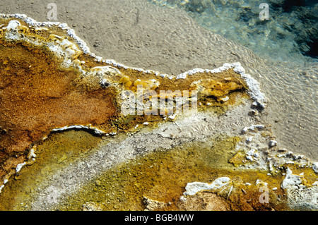 Mikrobielle Matte, Hot Springs Abfluss, Yellowstone-Nationalpark, Stockfoto