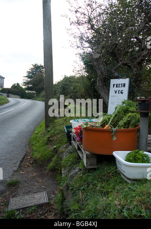 frisches Gemüse auf einem Straßenrand verkauft Stockfoto